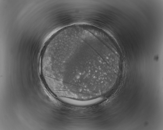 X0000114661127200912011128