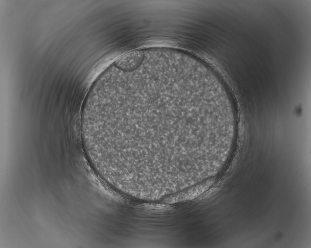 X0000114661129200912011128