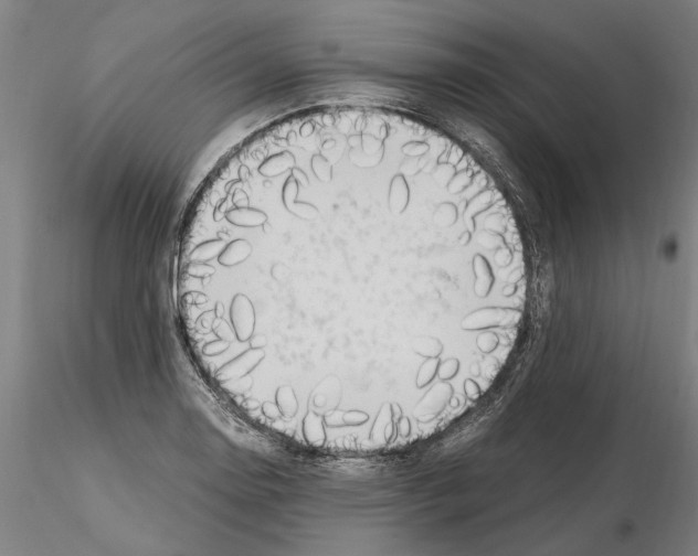 X0000114661130200912011128