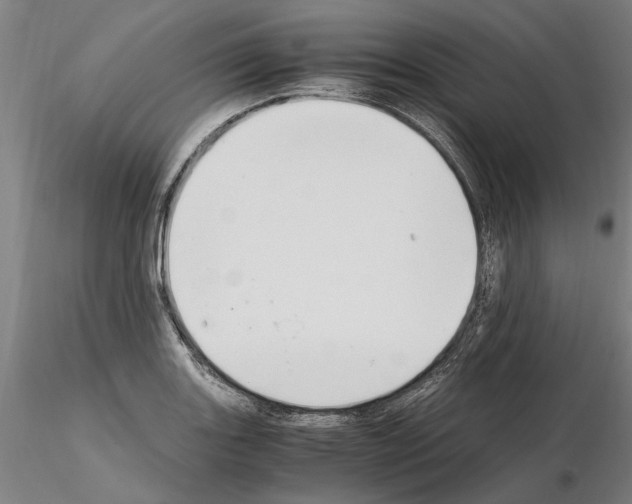 X0000114661131200912011128