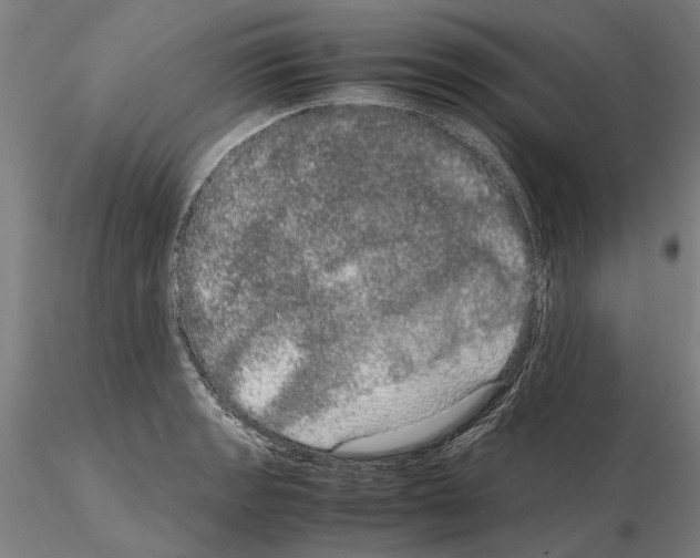 X0000114661133200912011129