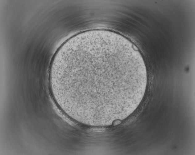 X0000114661134200912011129