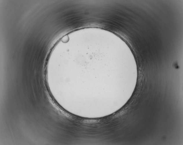 X0000114661135200912011129