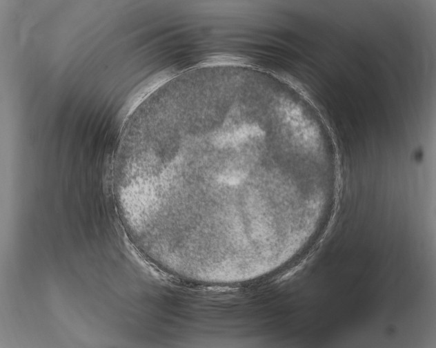 X0000114661137200912011129