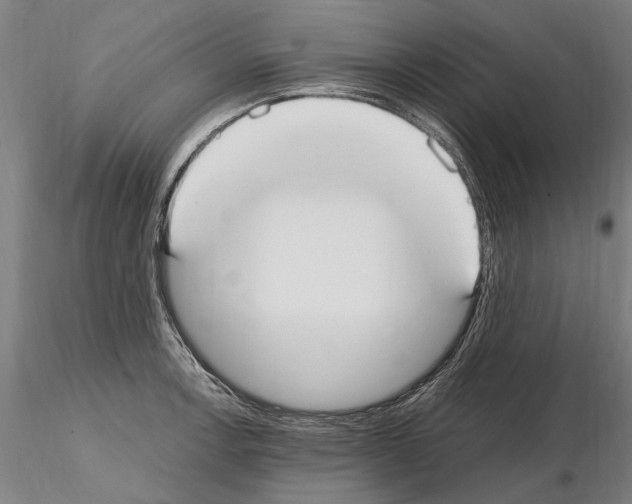 X0000114661138200912011129