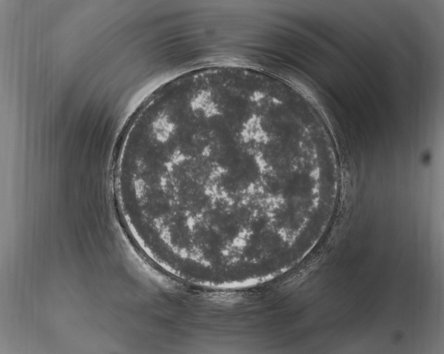 X0000114661141200912011129