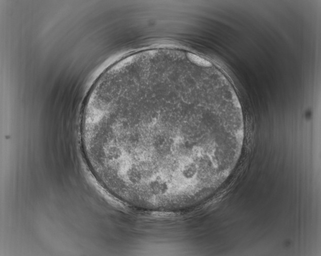 X0000114661142200912011129