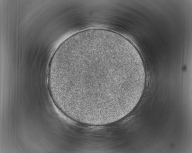 X0000114661143200912011129