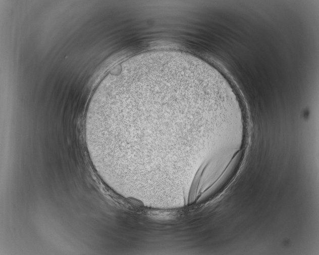 X0000114661145200912011129