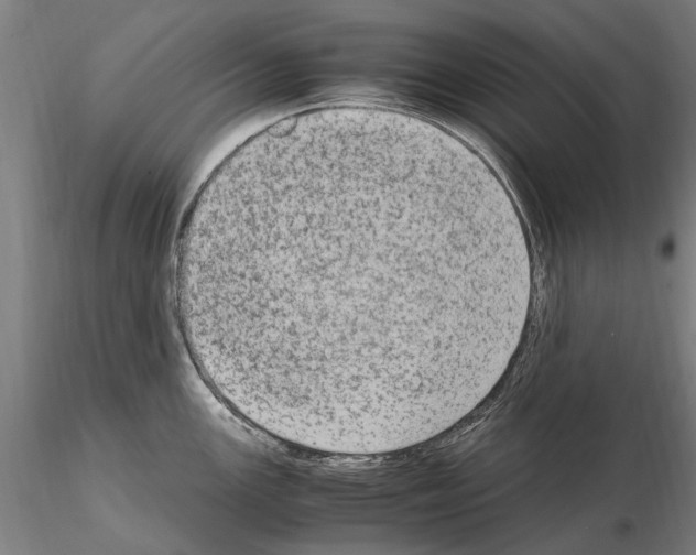 X0000114661147200912011129