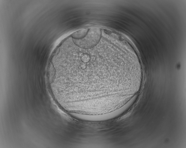 X0000114661149200912011129