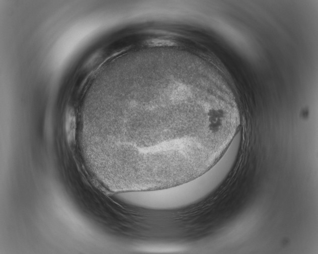 X0000114661151200912011129