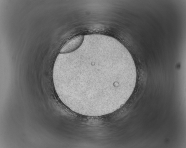 X0000114661153200912011128