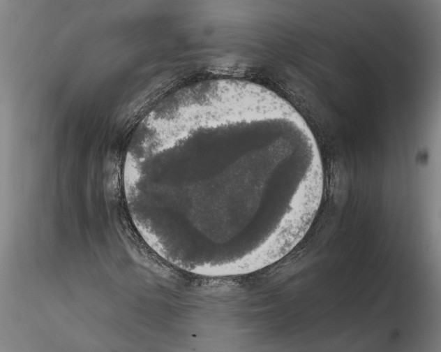 X0000114661154200912011128