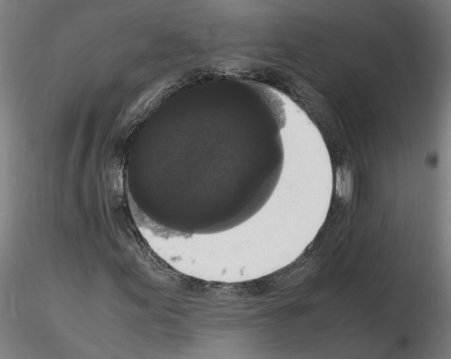 X0000114661155200912011128