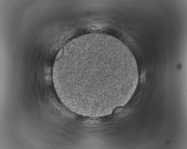 X0000114661156200912011128