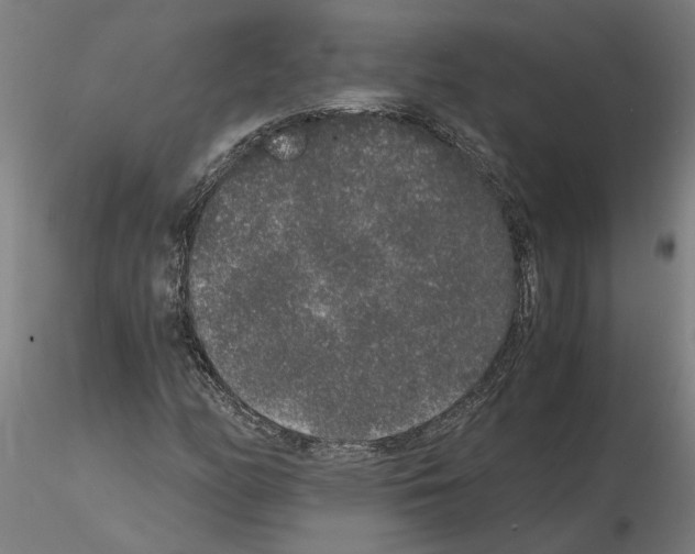 X0000114661158200912011128