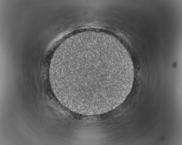 X0000114661159200912011128