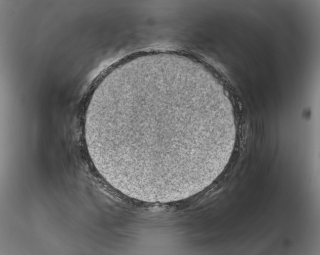 X0000114661160200912011128