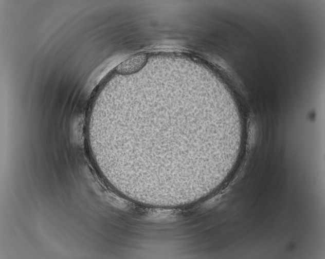 X0000114661162200912011128