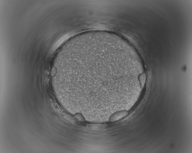 X0000114661163200912011128