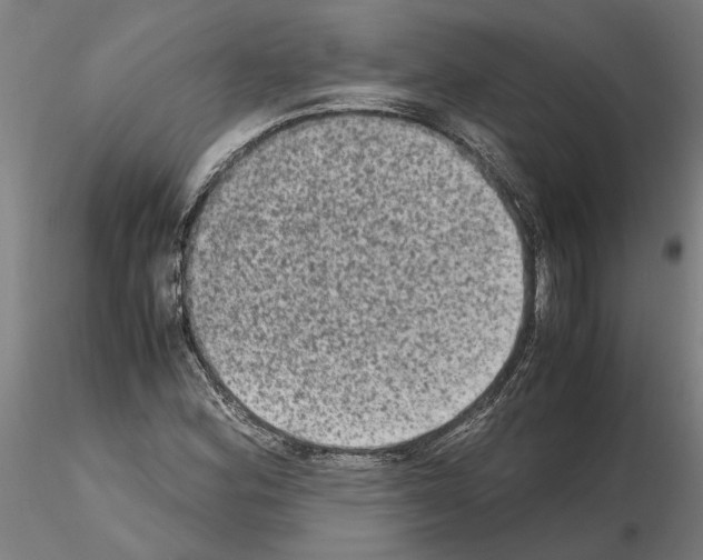 X0000114661164200912011128