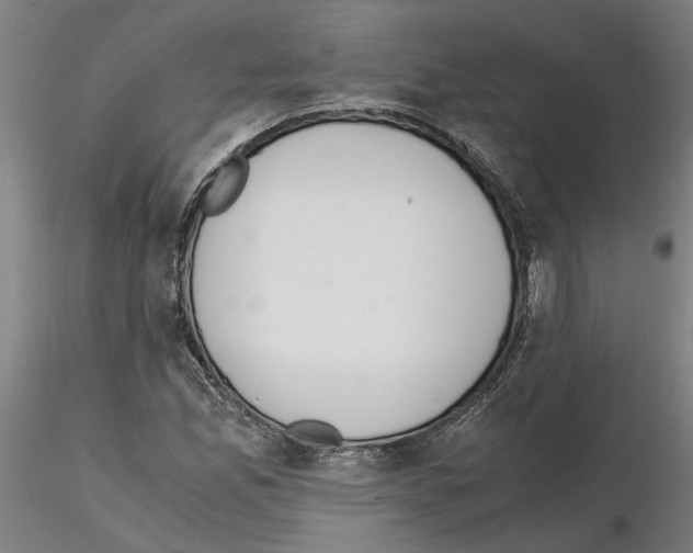 X0000114661165200912011128