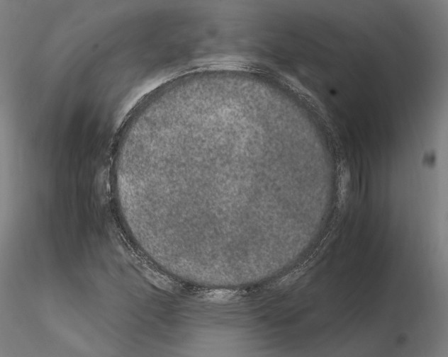 X0000114661166200912011128