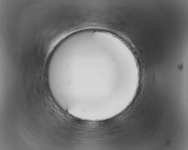 X0000114661167200912011128