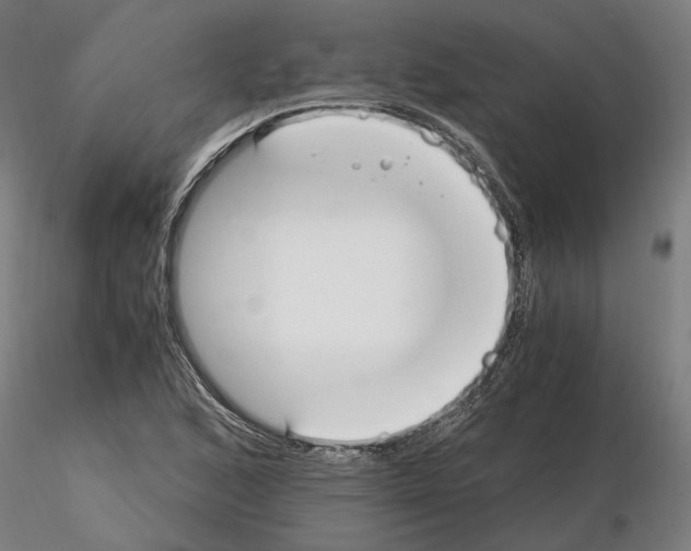 X0000114661168200912011128