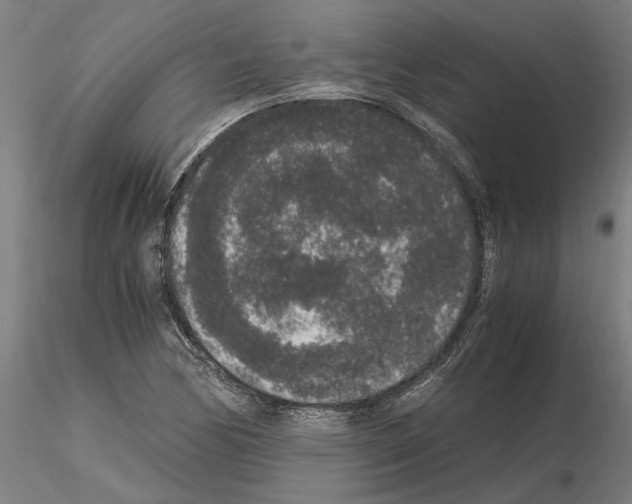 X0000114661170200912011128