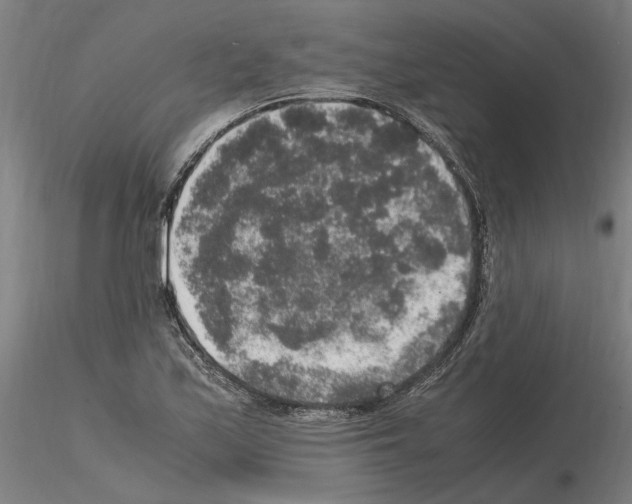 X0000114661171200912011128