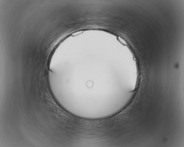 X0000114661173200912011128