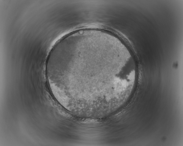 X0000114661174200912011128