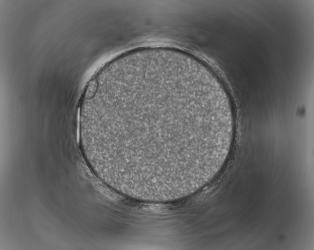 X0000114661175200912011128