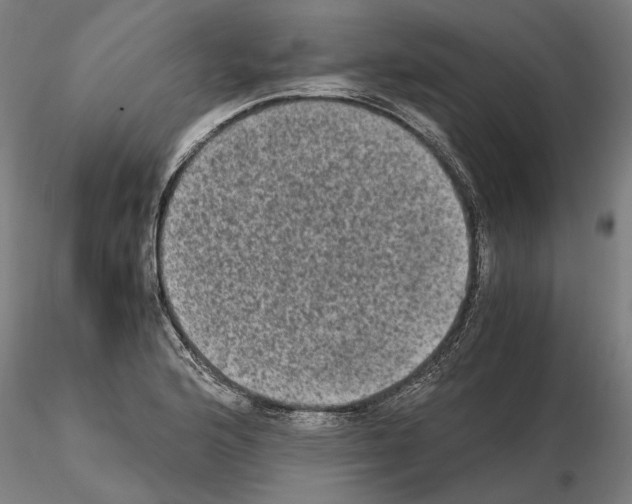 X0000114661176200912011128