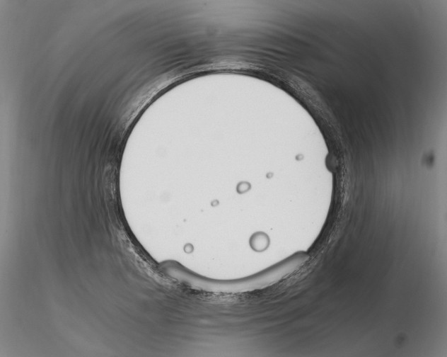 X0000114661177200912011128