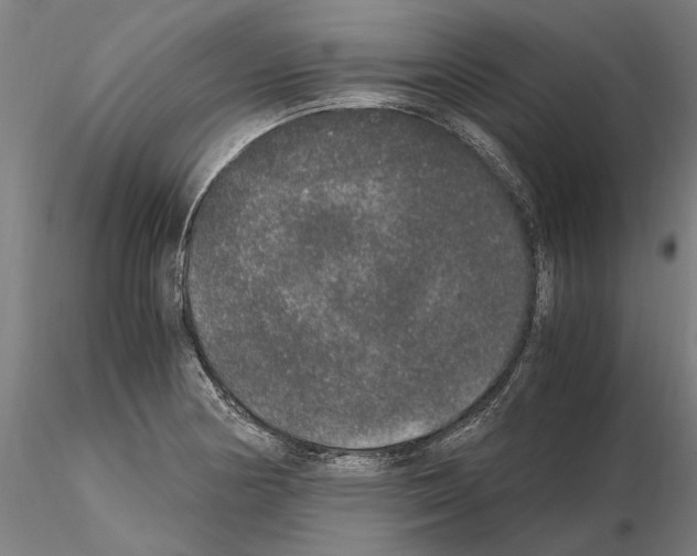 X0000114661178200912011128