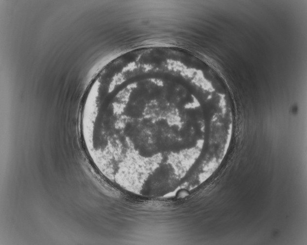 X0000114661179200912011128