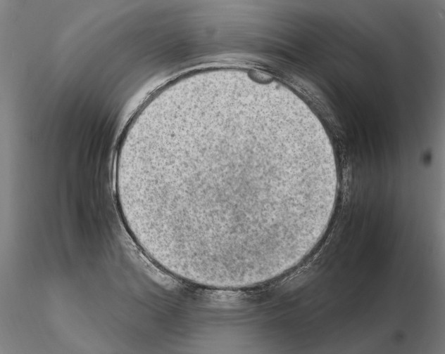 X0000114661180200912011128