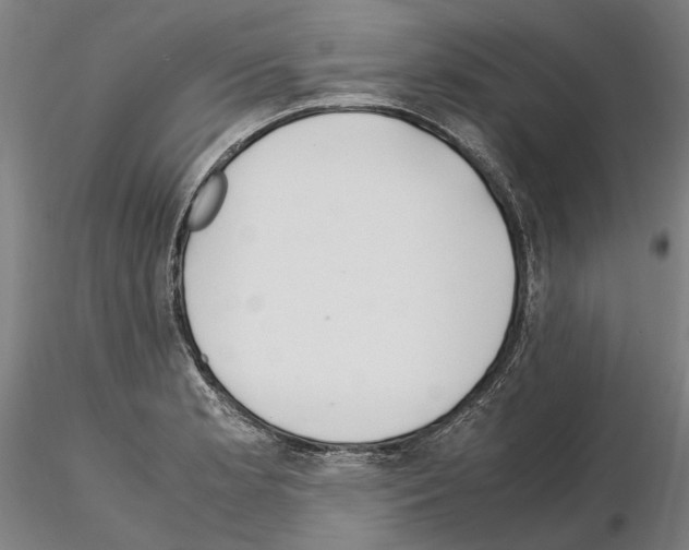 X0000114661181200912011128