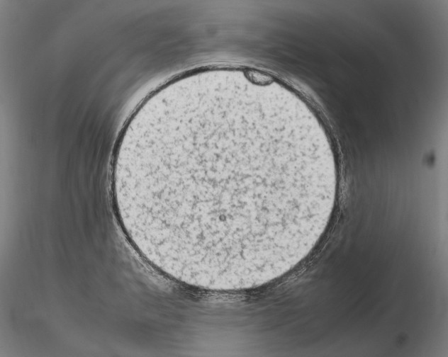 X0000114661183200912011128