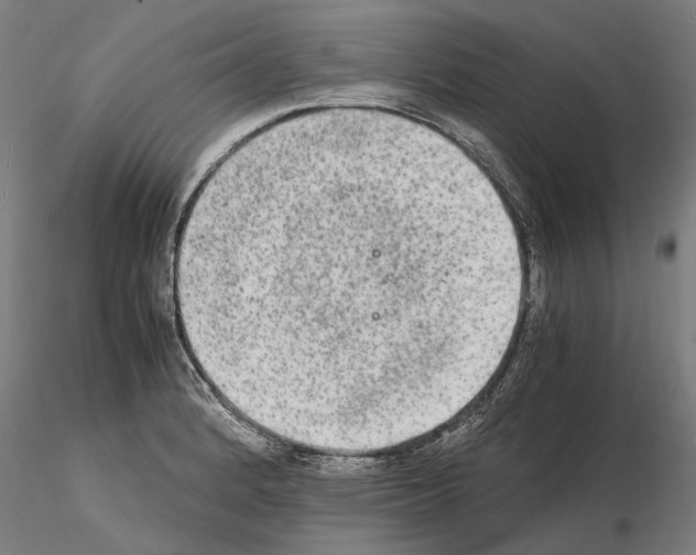 X0000114661184200912011128