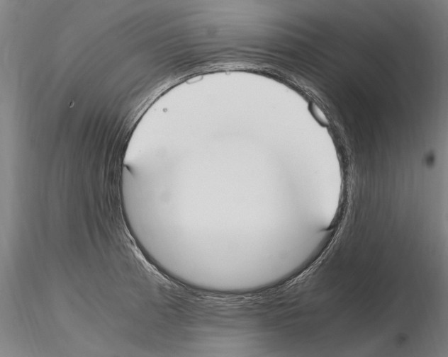 X0000114661185200912011128