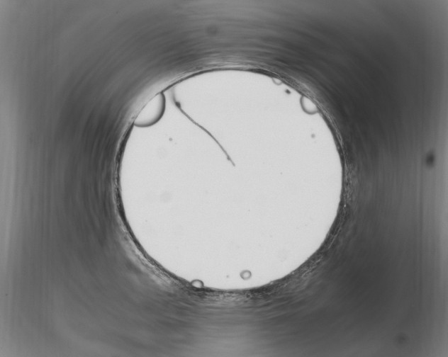 X0000114661187200912011128