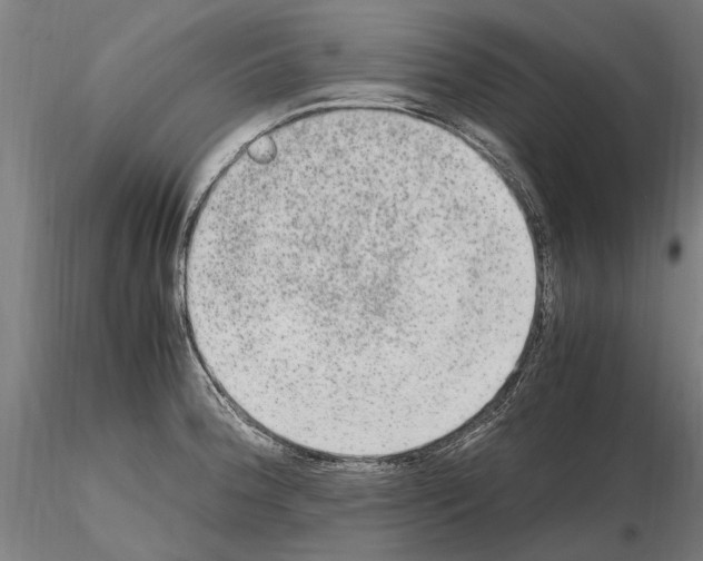 X0000114661188200912011128