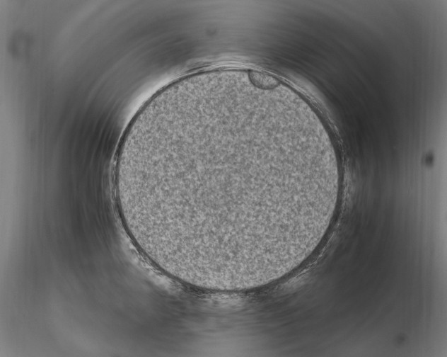 X0000114661190200912011128