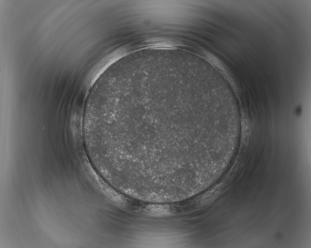 X0000114661194200912011128