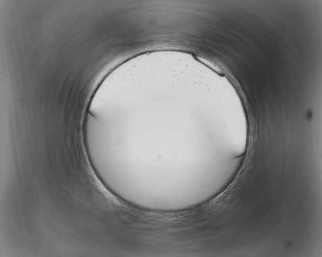 X0000114661197200912011127