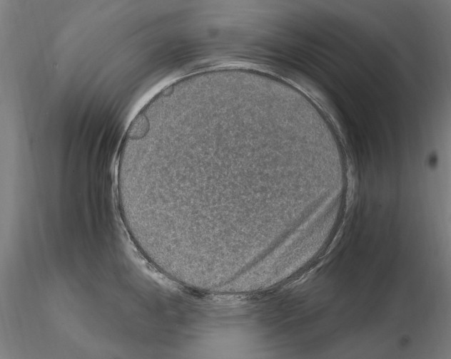 X0000114661198200912011127